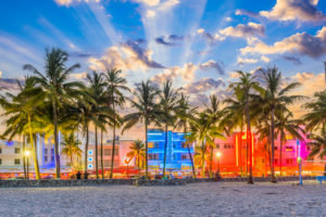 Kitty Cat Now Miami Keeps Your Late Night’s Sizzling!