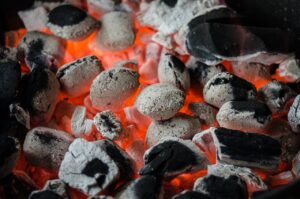 Planning a Backyard BBQ with Buns, Burgers, and Booties
