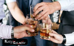 Planning a Bachelor Party? Let Kitty Cat Now Handle It All!
