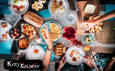 Unforgettable Brunch Party Ideas in Miami: Food, Fun, and Entertainment with Kitty Cat Now Strippers