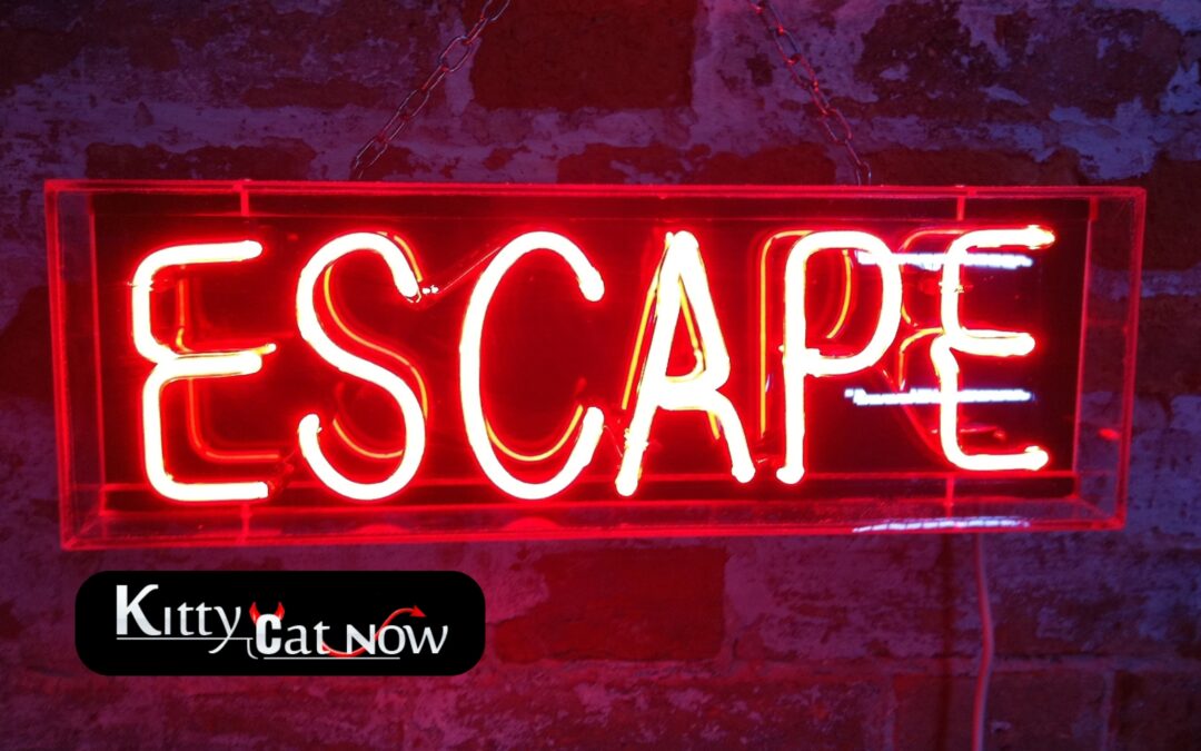 Escape the Ordinary: How to Throw a Bachelor Party He’ll Never Forget in Miami