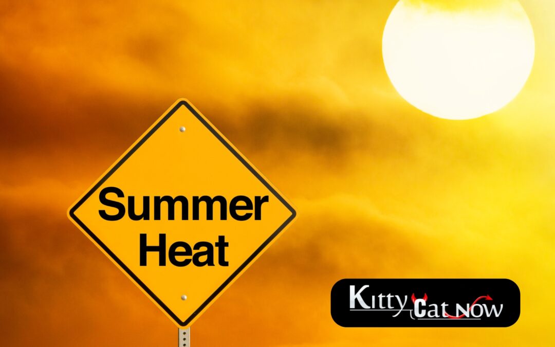 How to Heat Up Your Summer Parties with Exotic Dancers in Miami