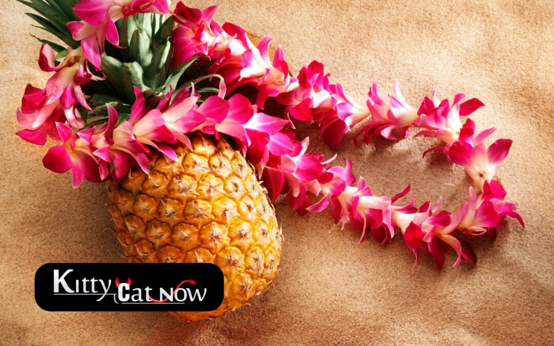 Top 5 Summer Party Themes with Strippers In Miami