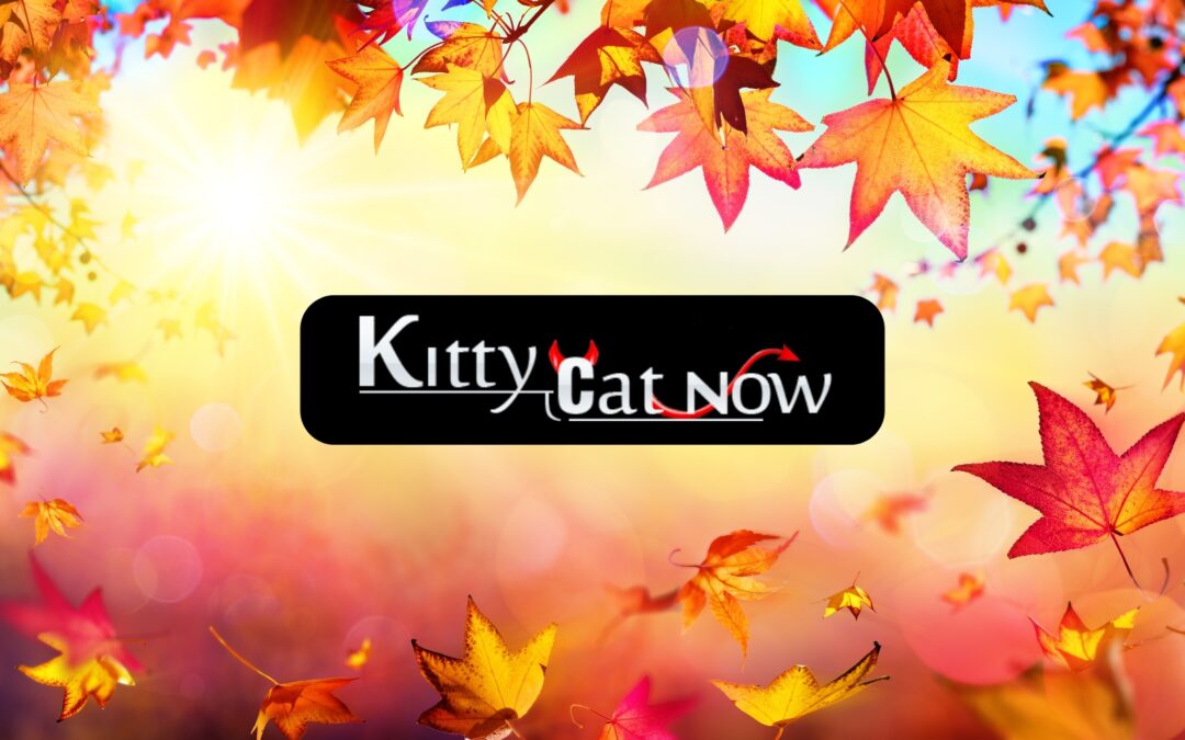 Why Fall Is the Best Season for Bachelor & Bachelorette Parties in Miami