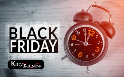 Black Friday Party Ideas: Celebrate Big with Exotic Dancers in Miami