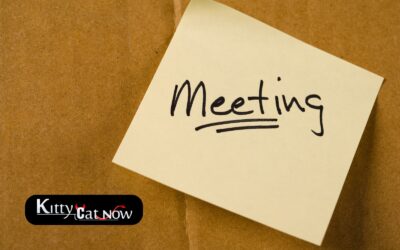 How Private Strippers in Miami Elevate Annual Club Meetings