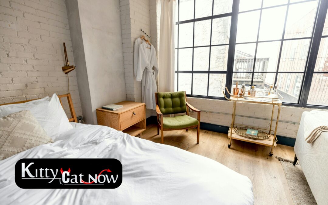 Planning a Private Airbnb Party with Strippers in Miami