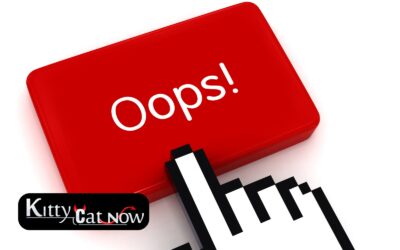 Top Mistakes to Avoid When Booking Strippers in Miami