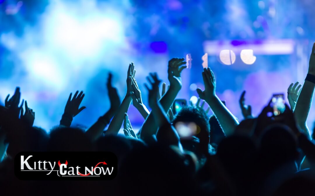 Why Booking Strippers from an Agency Is Safer Than Independents in Miami