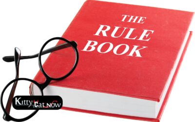 Bachelor Party House Rules in Miami Before the Strippers Arrive