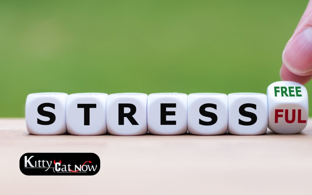 Hosting Private Party Entertainment at Home in Miami: A Stress-Free Guide