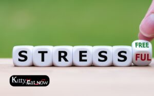 Hosting Private Party Entertainment at Home A Stress-Free Guide