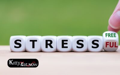 Hosting Private Party Entertainment at Home in Miami: A Stress-Free Guide