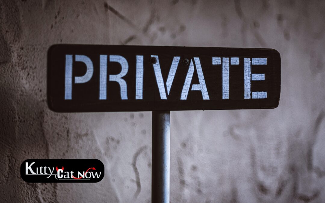 Why Private Party Entertainment Beats the Club Scene in Miami