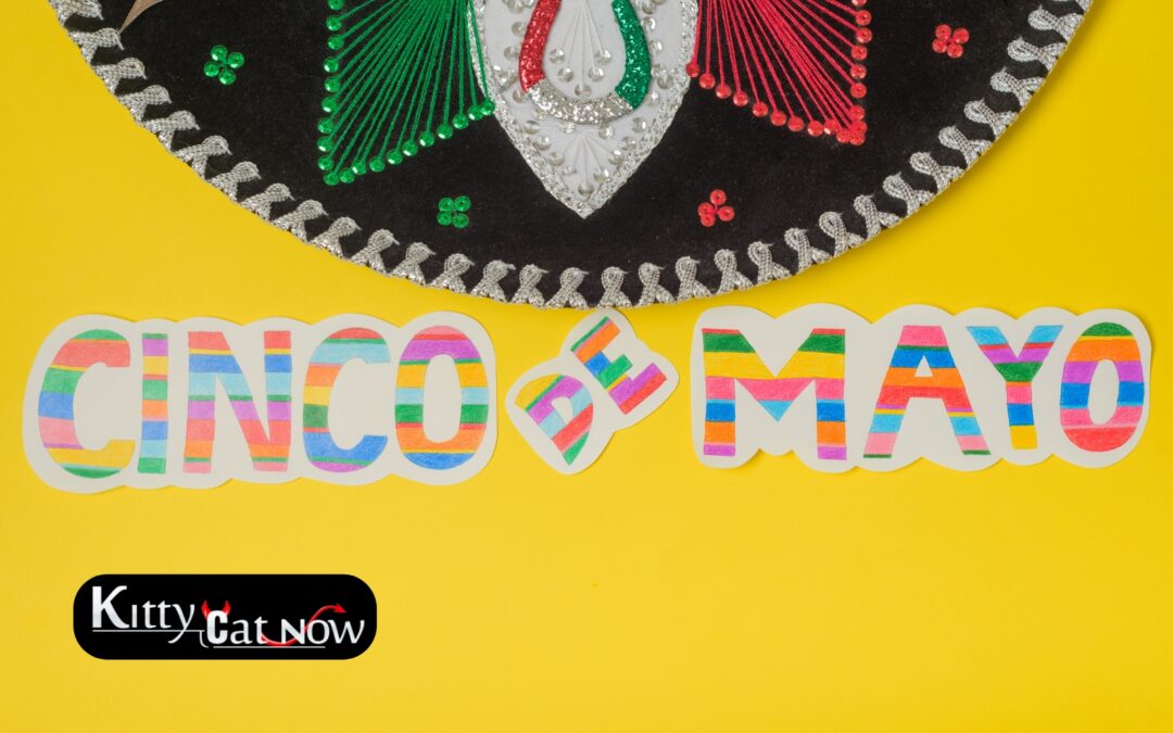 Cinco de Mayo Party Ideas in Miami: Tacos, Tequila & Private Strippers
