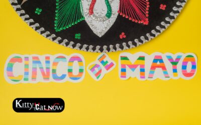 Cinco de Mayo Party Ideas in Miami: Tacos, Tequila & Private Strippers