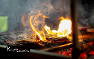 Memorial Day Party Ideas in Miami: BBQ, Private Entertainment & VIP Vibes