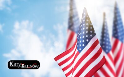 Memorial Day Party Ideas in Miami with Strippers