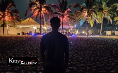 Midweek Party Planning in Miami: Why Weekday Events Are Trending with Strippers