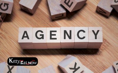 How to Choose a Legit Stripper Agency in Miami
