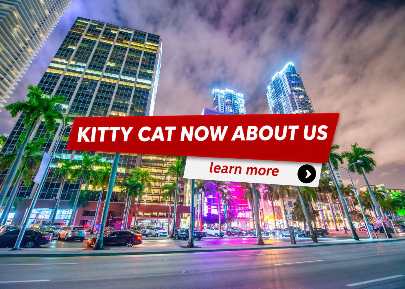 About Kitty Cat Now | Miami Strippers About Kitty Cat Now | Miami Strippers