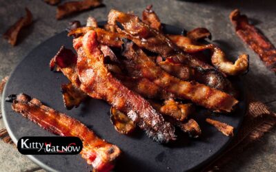 Boobs & Bacon in Miami: The Ultimate Sunday Morning Bachelor Party Experience