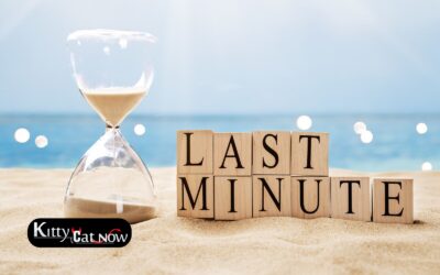 Last-Minute Bachelor Partying Miami: Booking Entertainment on Short Notice