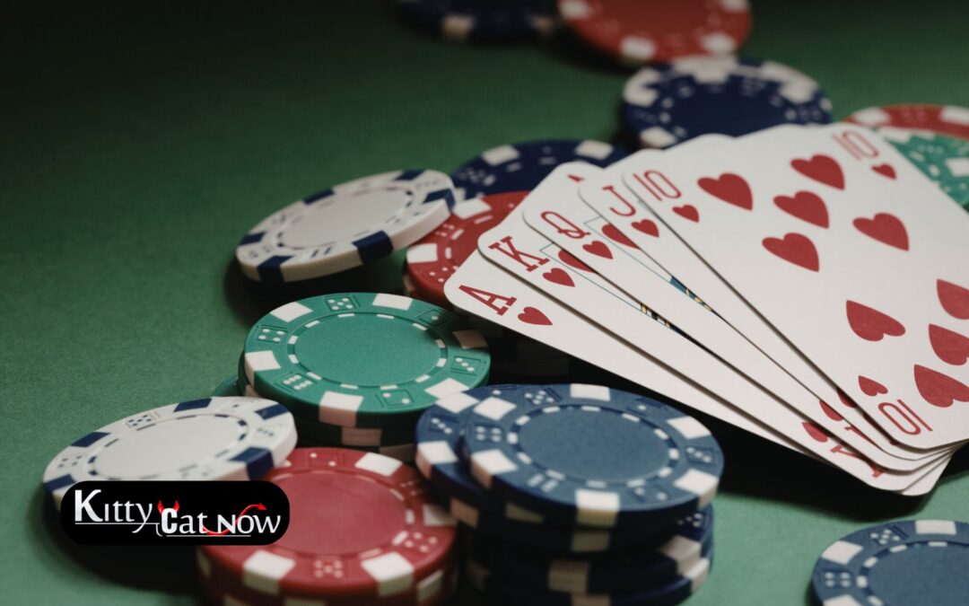 Poker Night Upgrade: Private Entertainment for Your Miami Home Game