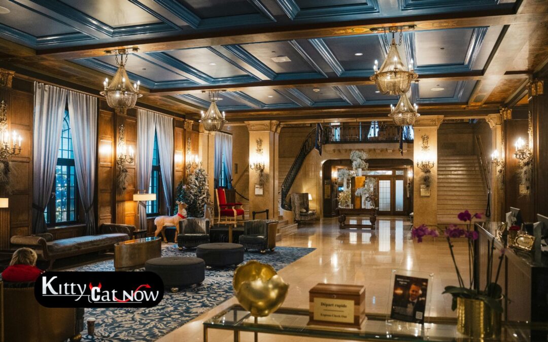 Hotel Suite vs. House Rental: Where to Host Your Miami Bachelor Party