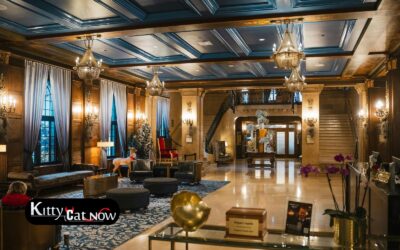 Hotel Suite vs. House Rental: Where to Host Your Miami Bachelor Party